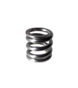 PLANET ECLIPSE - RESSORT DE REGULATEUR HPR - GTEK 170 R